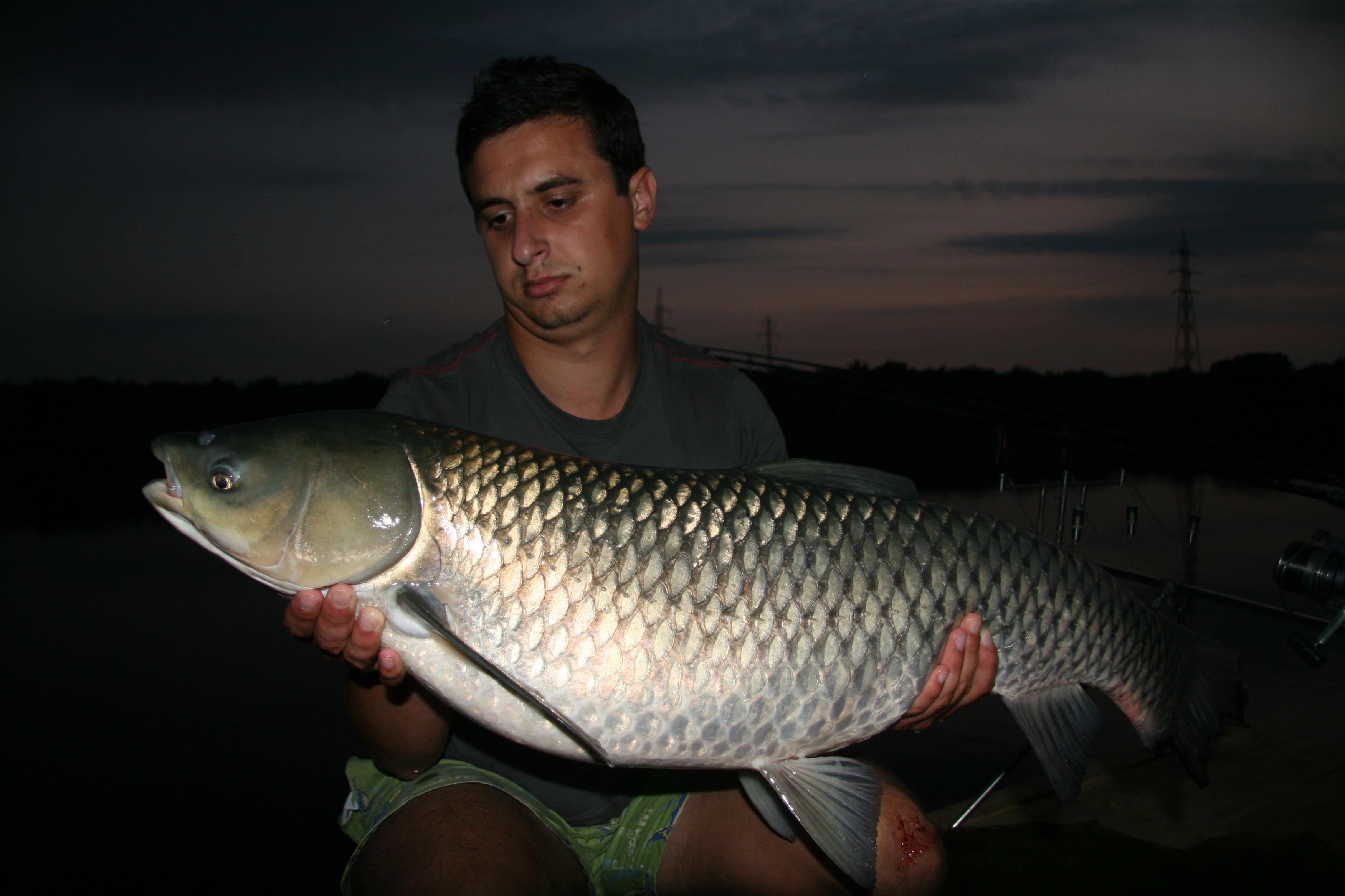 C.B.C - IMG_2729.JPG